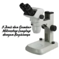 Gambar-Mikroskop