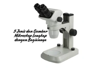 5 Jenis dan Gambar Mikroskop Lengkap dengan Bagiannya